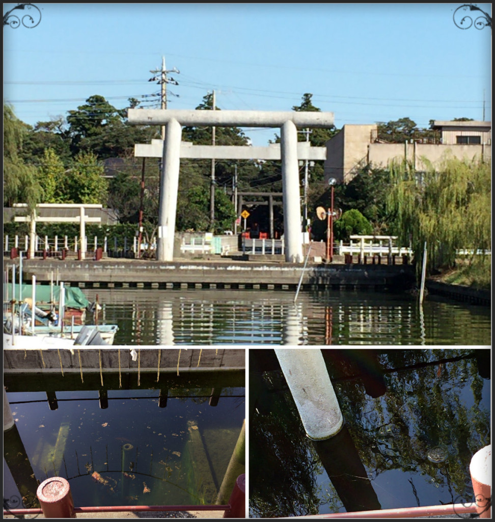 ブログ　いきす